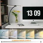Double Head LED Desk Lamp