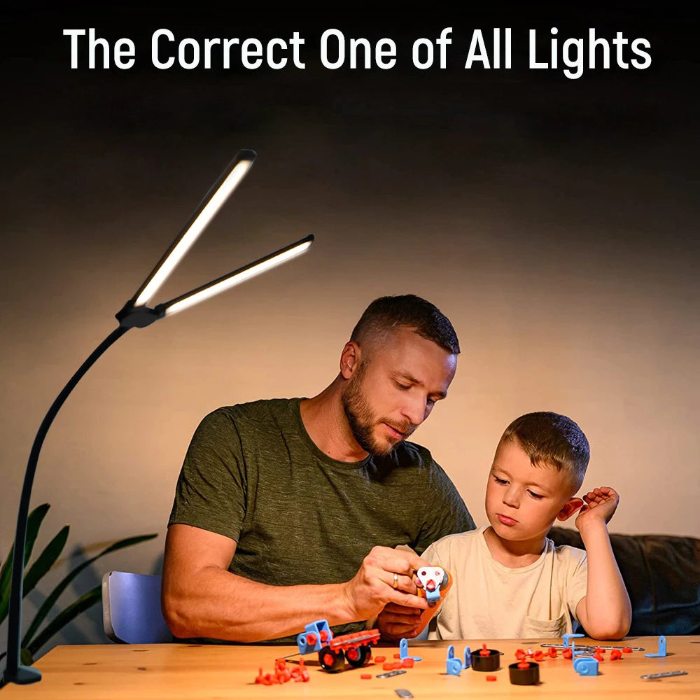 Double Head LED Desk Lamp