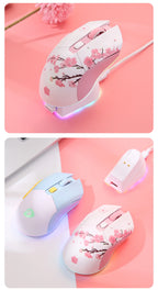 Dual Mode RGB Wireless & Wired Gaming Mouse