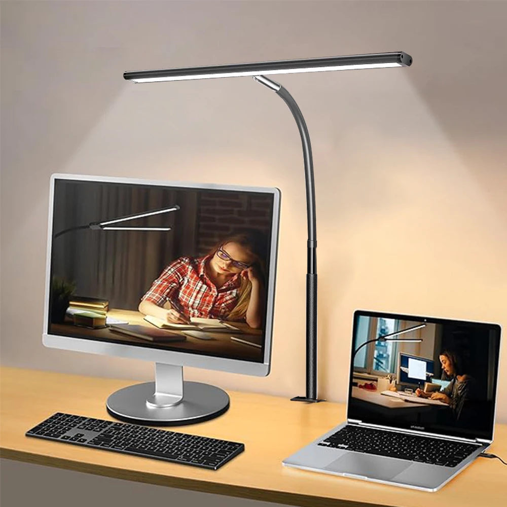 Double Head LED Desk Lamp
