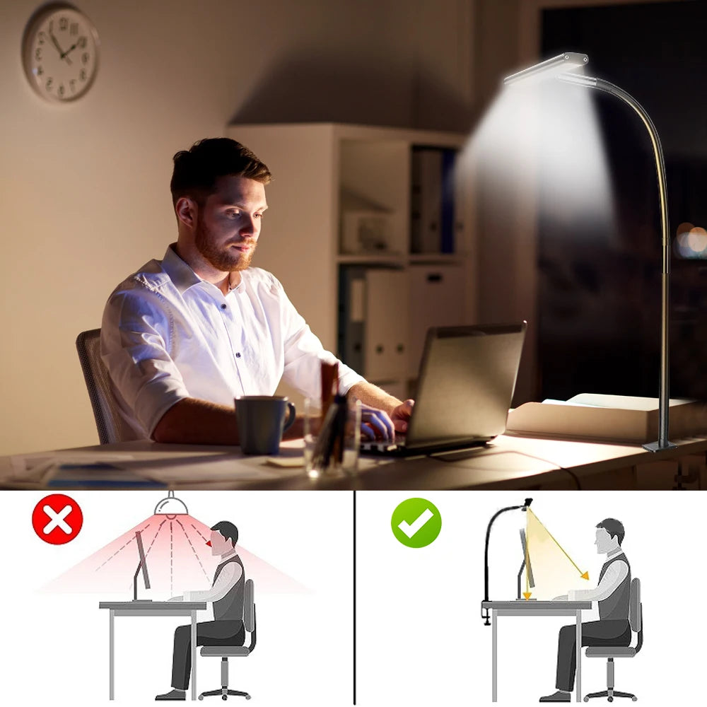 Double Head LED Desk Lamp