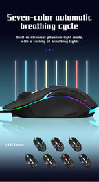 Ergonomic 4-Button RGB Gaming Mouse