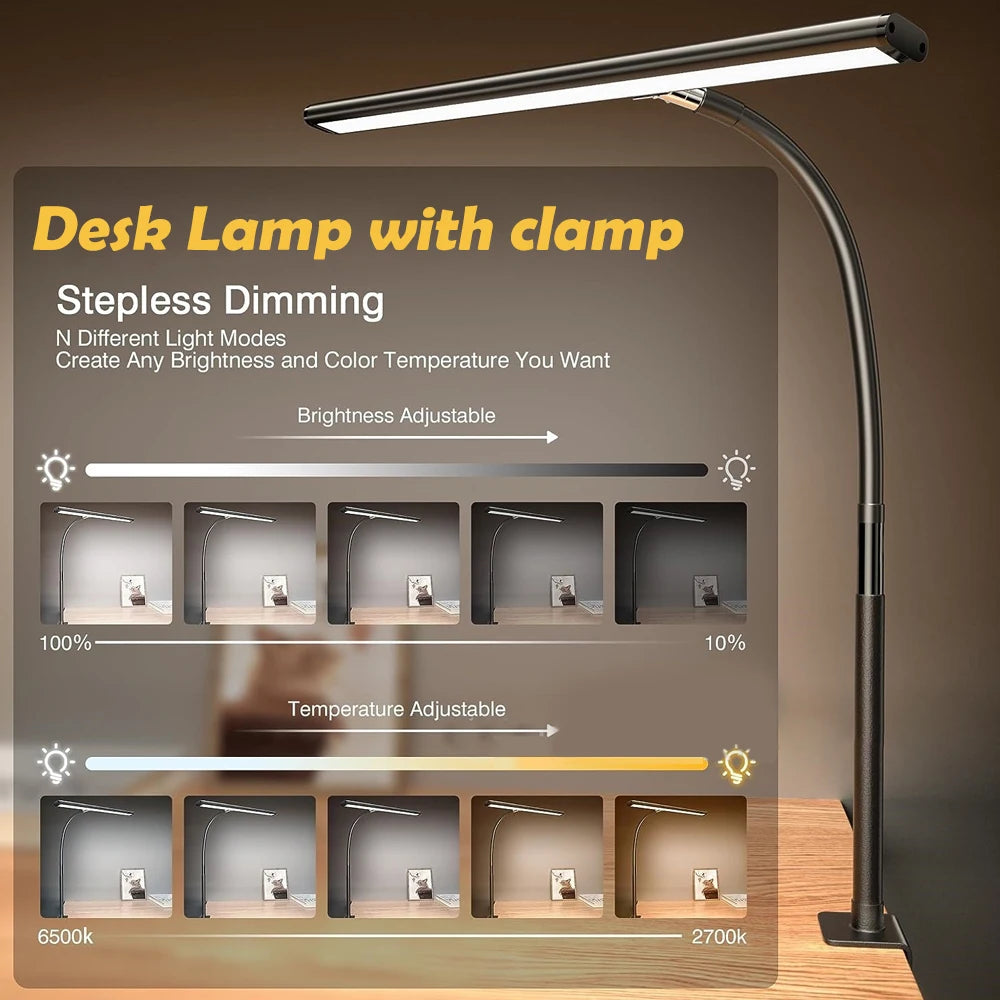 Double Head LED Desk Lamp