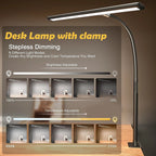 Double Head LED Desk Lamp