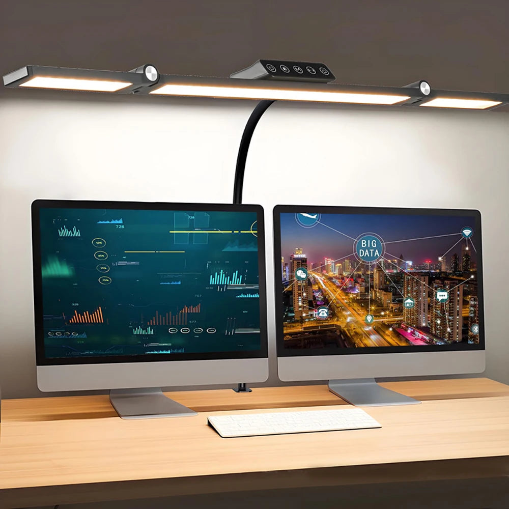 Double Head LED Desk Lamp