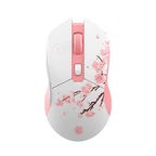 Dual Mode RGB Wireless & Wired Gaming Mouse