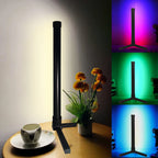LED Ambiance Floor Lamp