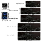 Large Extended Gaming Mouse Pad Non-Slip Mat