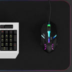 Ergonomic 4-Button RGB Gaming Mouse