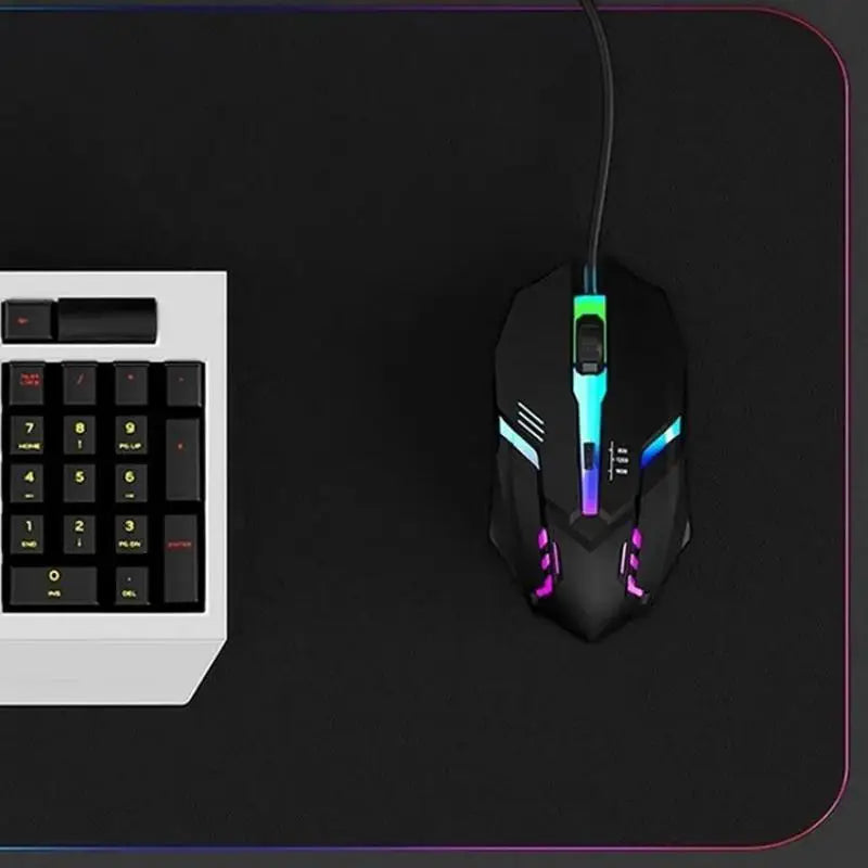 Ergonomic 4-Button RGB Gaming Mouse