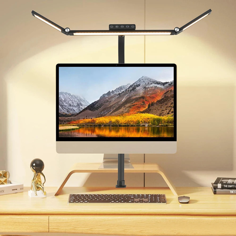 Double Head LED Desk Lamp