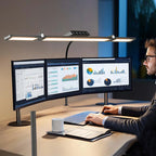 Double Head LED Desk Lamp