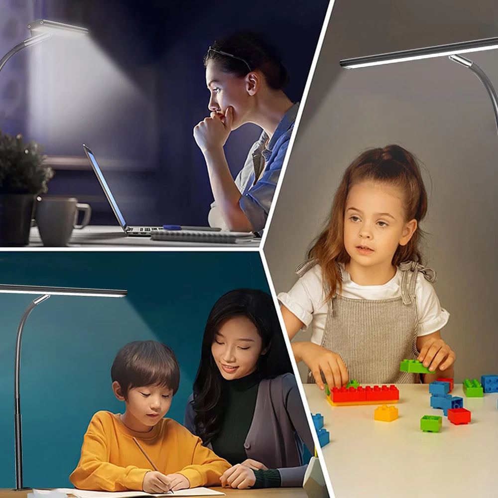 Double Head LED Desk Lamp