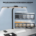 Double Head LED Desk Lamp